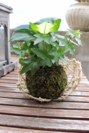 atelier kokedama pour la fête des mères